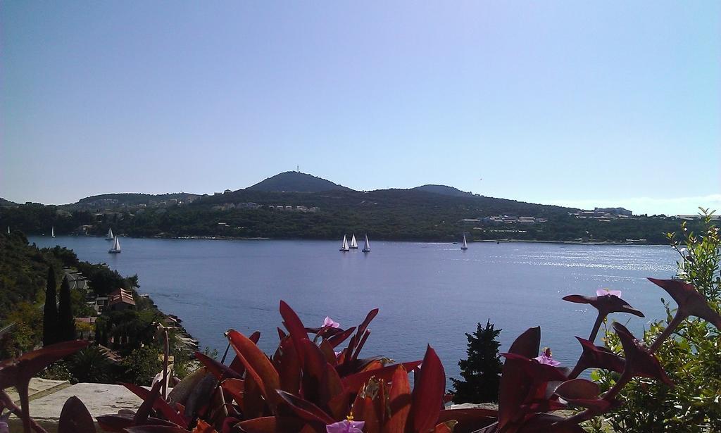 Apartments Anamaria Dubrovník Pokoj fotografie